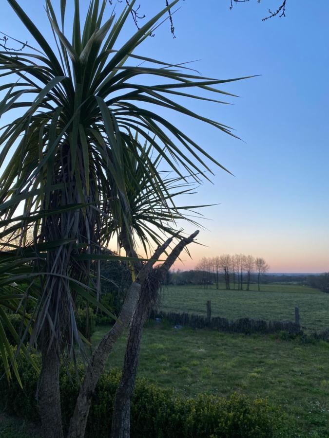 Maisonbel, Gite Convivial Bretagne Vannes Sarzeau 15 Personnes Surzur Dış mekan fotoğraf